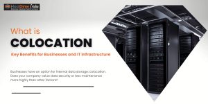 Read more about the article What is Colocation? Key Benefits for Businesses and IT Infrastructure